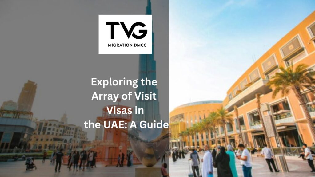 Exploring the Array of Visit Visas in the UAE: A Guide