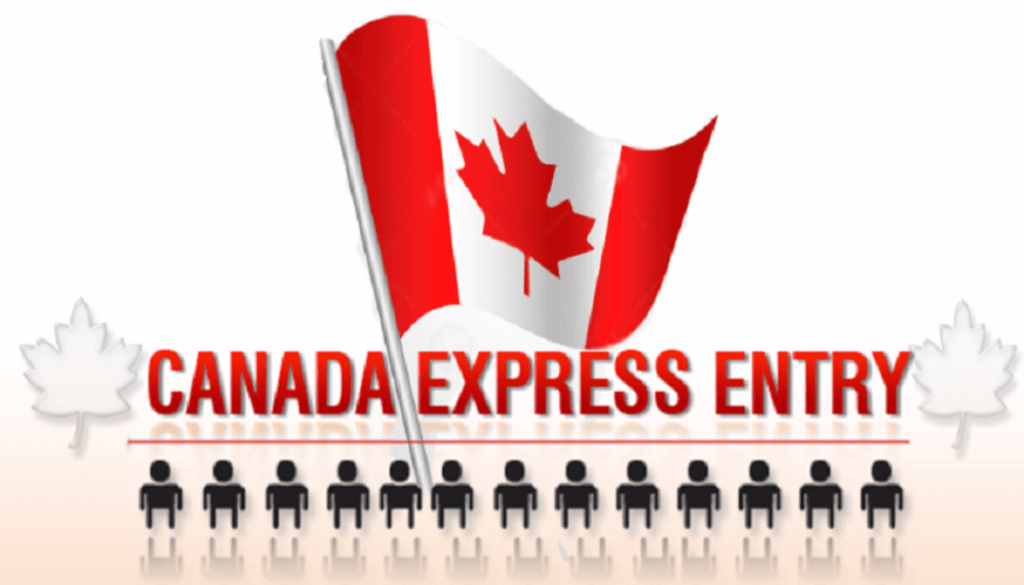 Express Entry Program: A Comprehensive Guide to the Express Entry Process