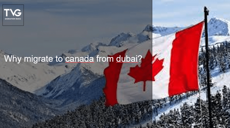 Why migrate to canada from dubai?