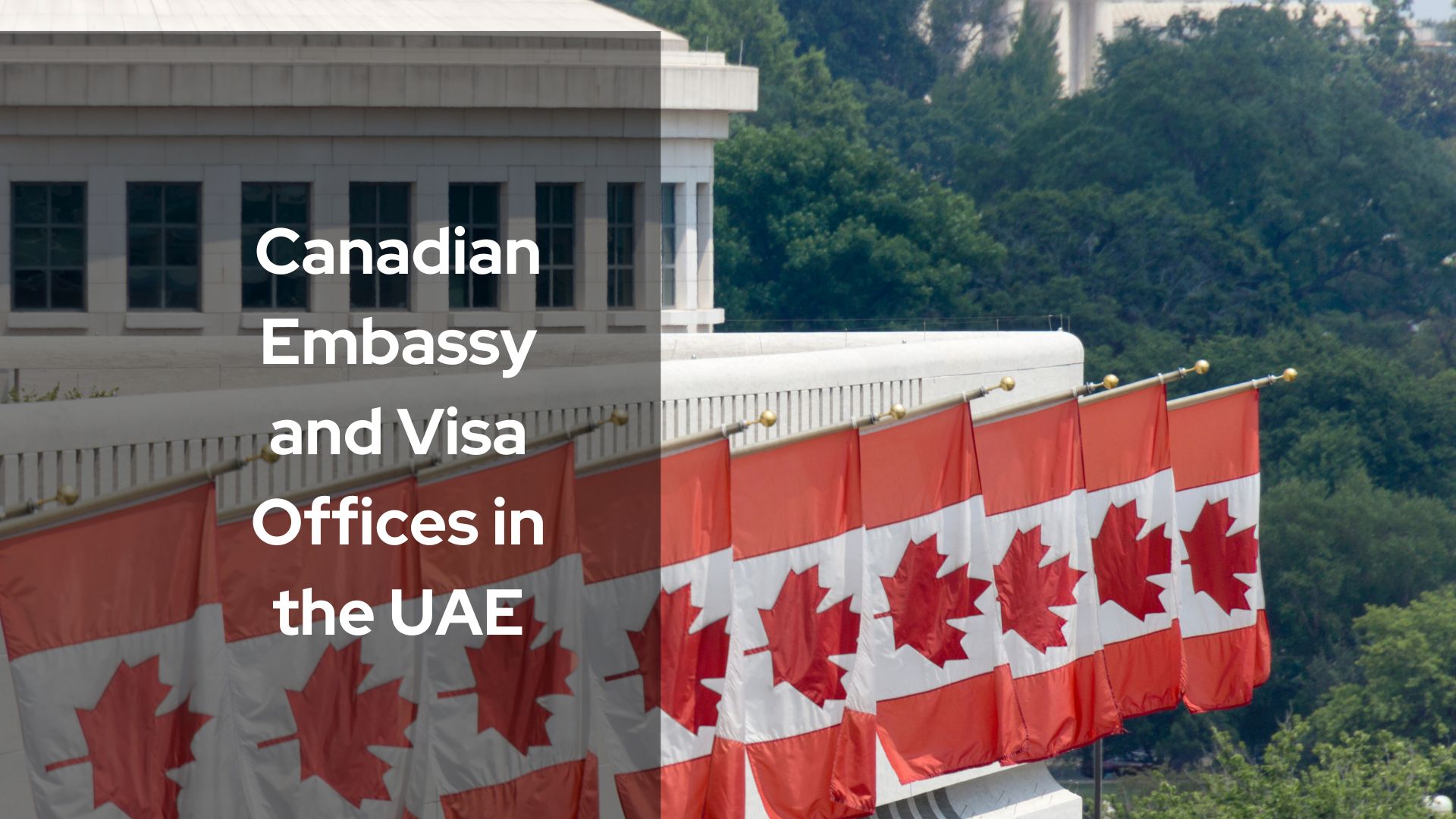 canadian embassy dubai location